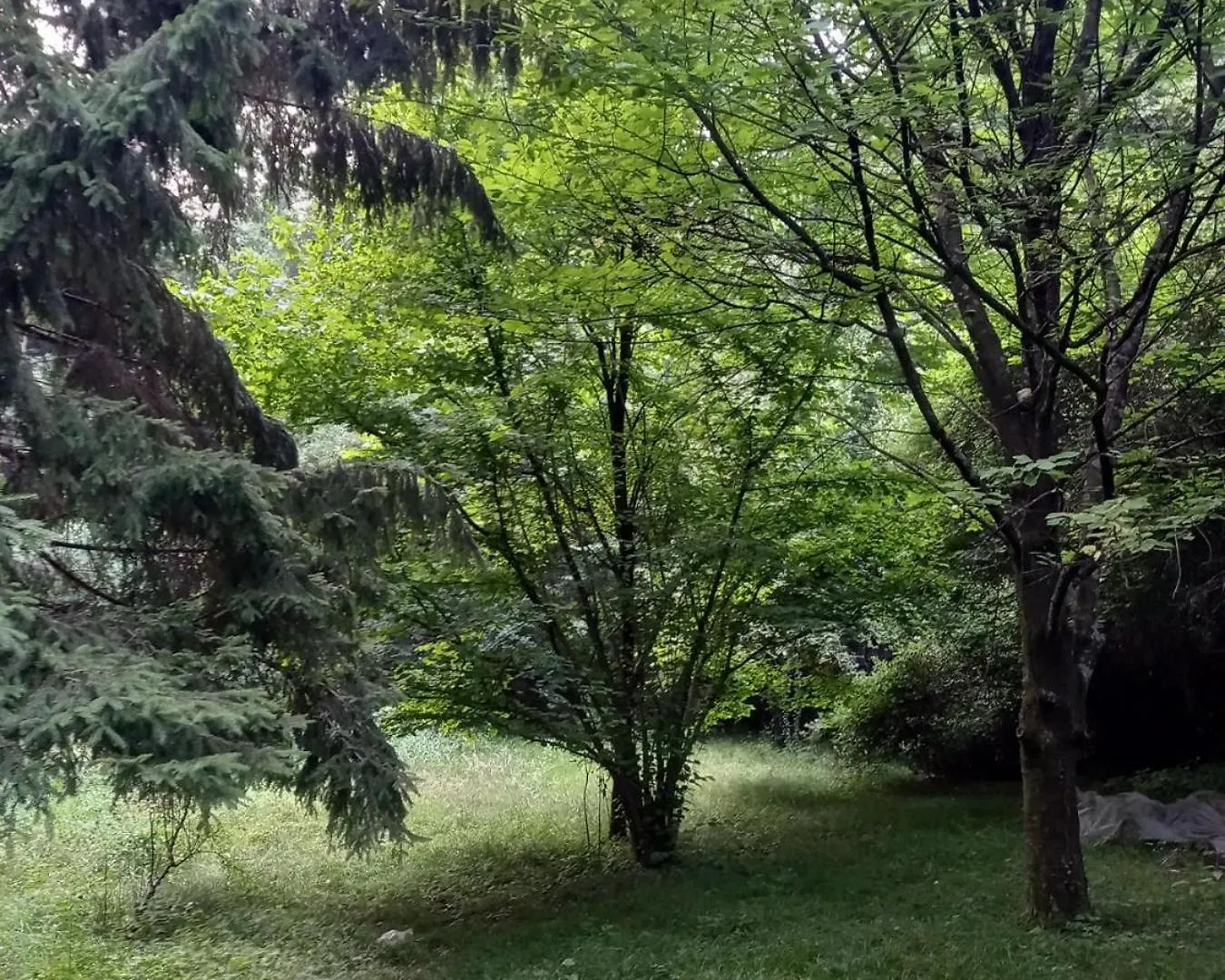 מטולי Blue-Green Vacation